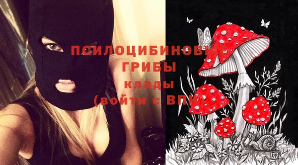 кокс Навашино