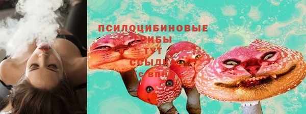 винт Нея