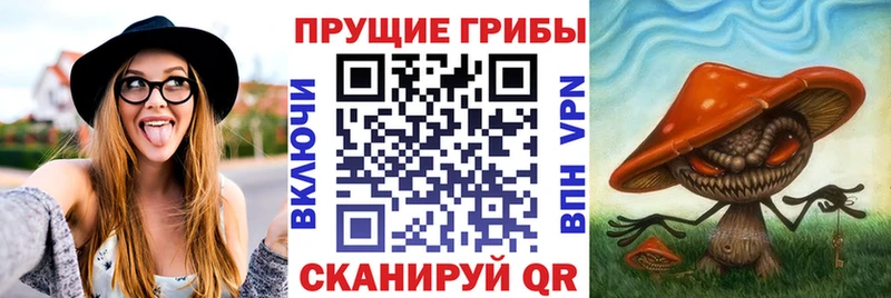 как найти наркотики Уссурийск Псилоцибиновые грибы Psilocybe