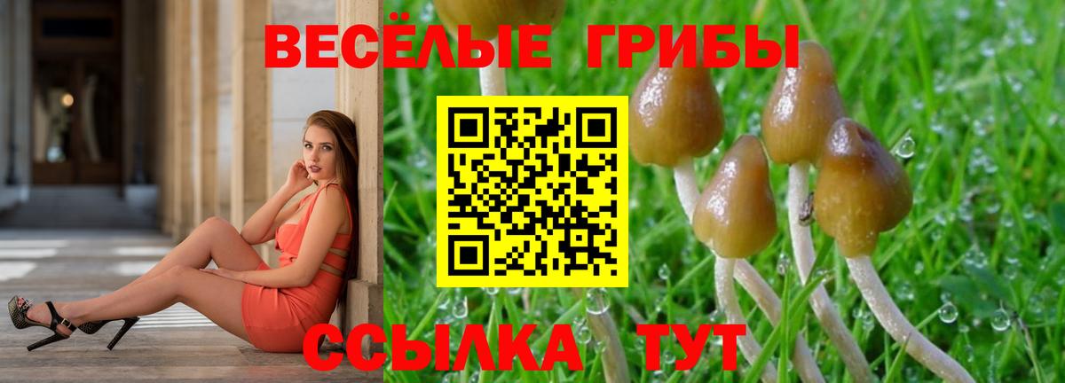 Галлюциногенные грибы GOLDEN TEACHER  Вход с VPN  Галлюциногенные грибы GOLDEN TEACHER  Уссурийск 